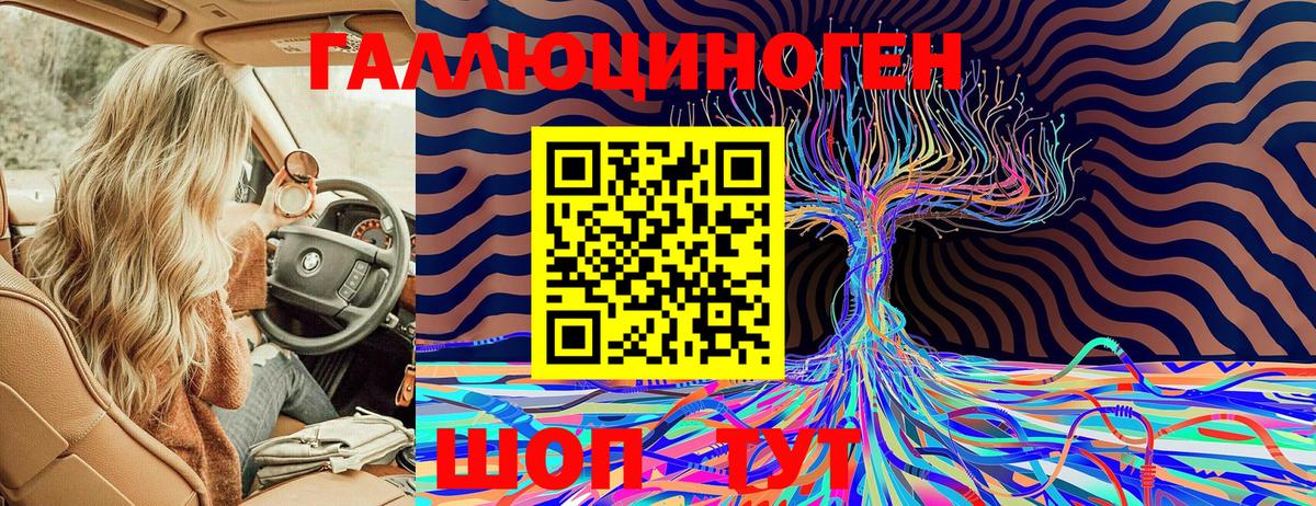 Псилоцибиновые грибы прущие грибы  Галлюциногенные грибы Magic Shrooms  Бердск  Вход с VPN 
