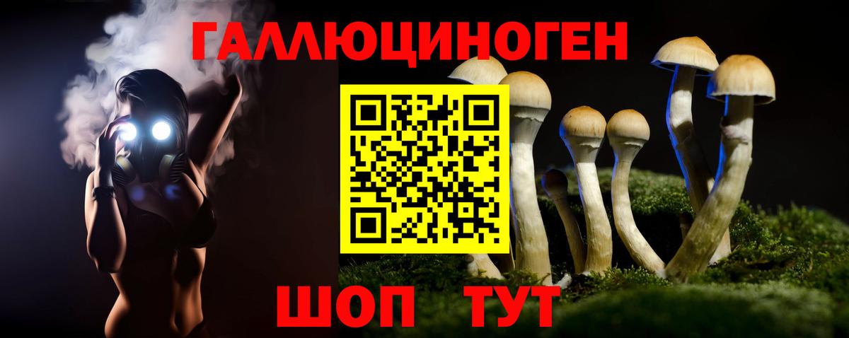 Галлюциногенные грибы ЛСД Бердск